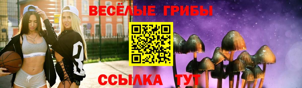 Псилоцибиновые грибы GOLDEN TEACHER  Вход с VPN  купить наркоту  Тосно 